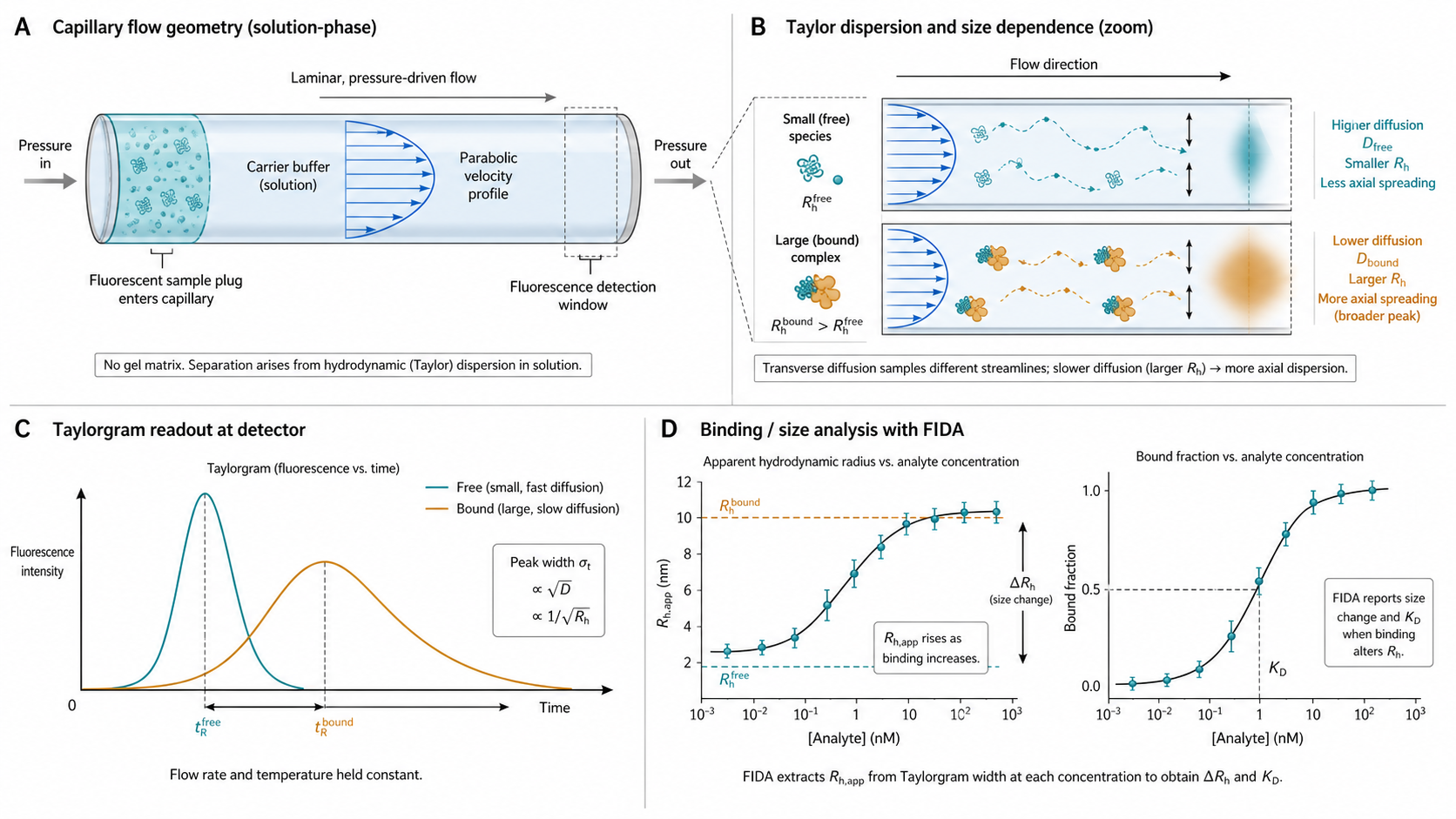 Figure 1 schematic explaining flow-induced dispersion analysis: fluorescent sample plug injection, laminar capillary flow, Taylor dispersion broadening, taylorgram readout, and hydrodynamic radius or binding analysis