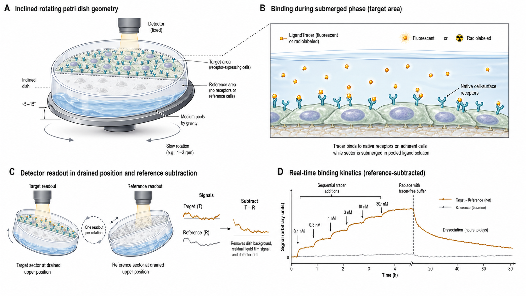 Figure 1 schematic explaining LigandTracer: tilted rotating petri dish geometry, tracer binding to adherent cells, detector readout in the drained position, reference subtraction, and real-time binding kinetics