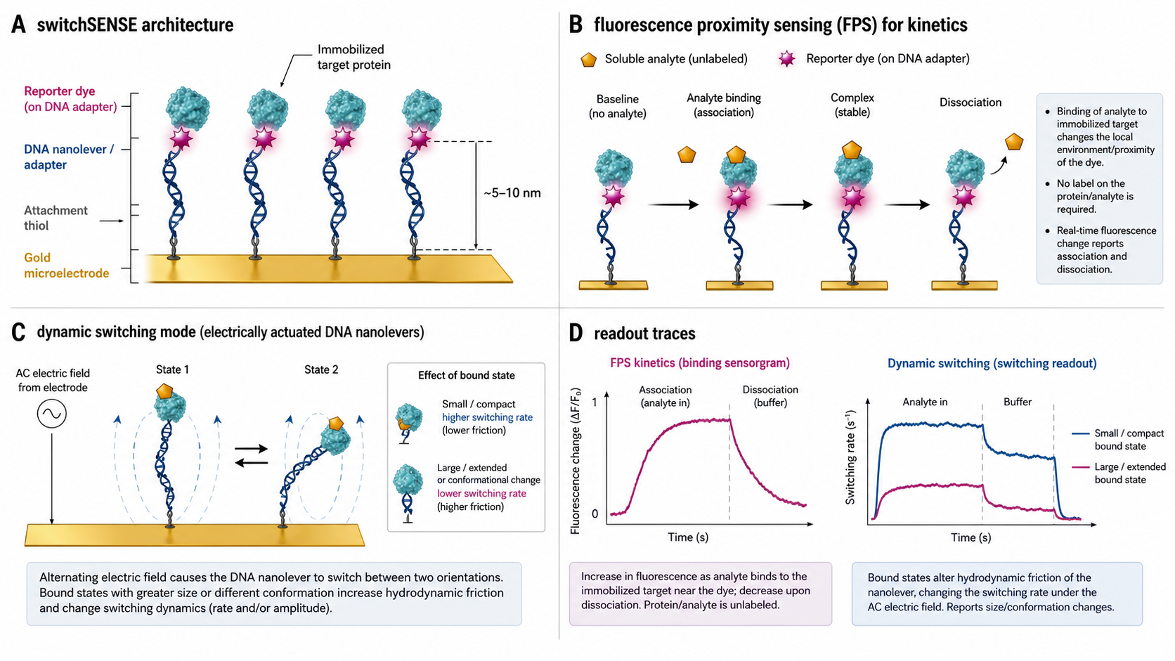 Figure 1 schematic explaining switchSENSE: DNA nanolever tethered to a gold electrode with dye at the tip, Fluorescence Proximity Sensing as analyte binds the target, and real-time fluorescence-based kinetic traces